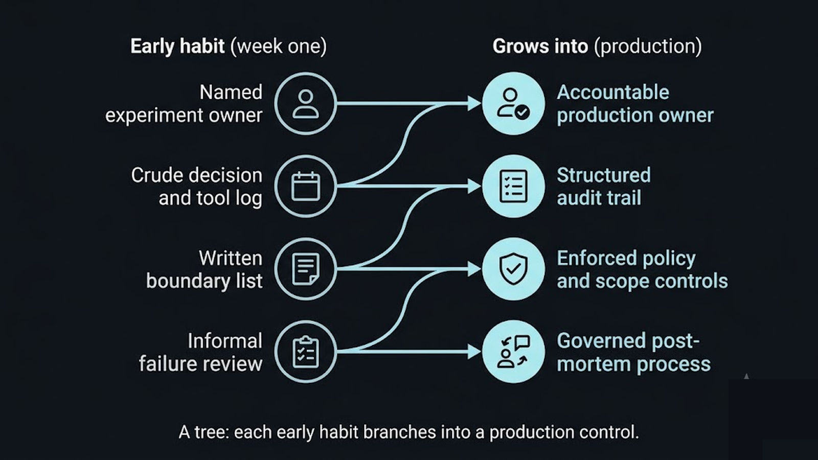 A tree diagram where four lightweight early habits branch into the full set of production governance controls they grow into